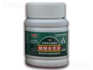 �[���x����-��̩��-��������