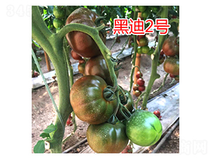 �ڵ�2̖(h��o)-���ѷN��-���@�N�I(y��)