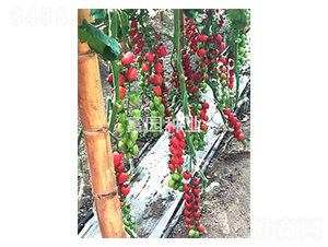 ���@4̖(h��o)-С���ѷN��-���@�N�I(y��)