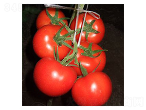 �M(m��n)�ؼt-���ѷN��-���@�N�I(y��)