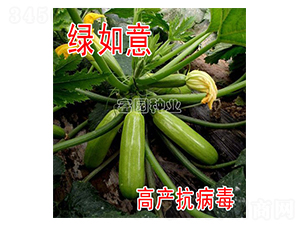 �G����-�����J�N��-���@�N�I(y��)