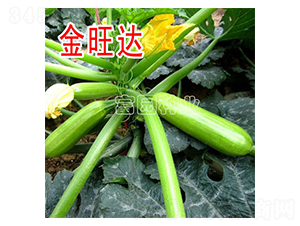 �����_-�����J�N��-���@�N�I(y��)