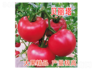 ؐ����-���ѷN��-���@�N�I(y��)