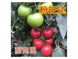 �����_(d��)-���ѷN��-���@�N�I(y��)