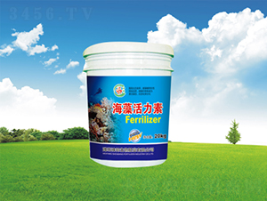 ��������؛_ʩ��-�������