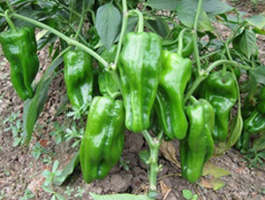 ͨ��2̖(h��o)-�����N��-�L���N��