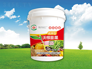 ������ָ����-�������