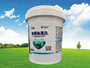 �����~����Ͱ��-�������