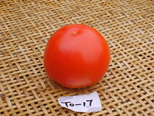 �f(w��n)����17-���ѷN��-�L(zh��ng)���N��