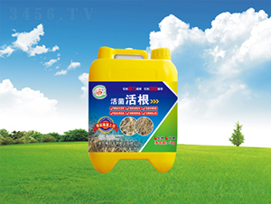 ������Ͱ��-�������