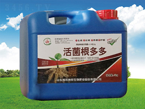 ��������Ͱ��-�������