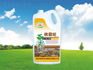 ������Ͱ��-�������