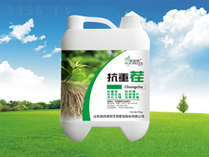 ���ز�Ͱ��-�������