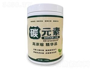 1000g̼Ԫ��-������