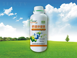 �}�V�\���F-�������