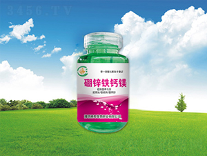 ���\�F�}�V-�������