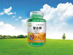 �ۺ��-�������