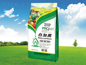 �׼Ӻڛ_ʩ��-�������