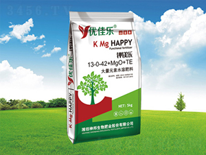 ����Ԫ��ˮ�ܷ���13-0-42+MgO+TE-��V��-�������