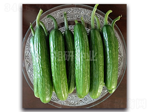 ����ˮ���S��-�S�ϷN��-���зN�I(y��)