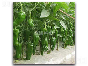 ���99-�ݽ��N��-���зN�I(y��)