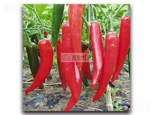 158-ţ�ǽ��N��-���зN�I(y��)