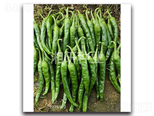 ������-ţ�ǽ��N��-���зN�I(y��)