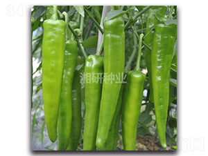 ���S100-ţ�ǽ��N��-���зN�I(y��)