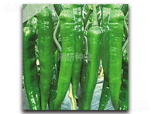 ����55-ţ�ǽ��N��-���зN�I(y��)