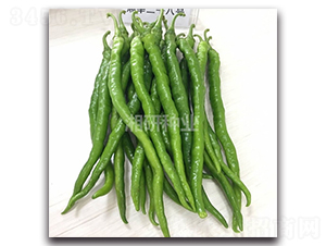 ����28-�����N��-���зN�I(y��)