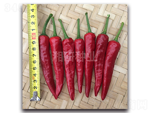 �w�t-���콷�N��-���зN�I(y��)