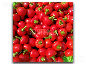 ��������-���콷�N��-���зN�I(y��)