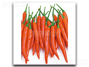 ���G��̖(h��o)-���콷�N��-���зN�I(y��)