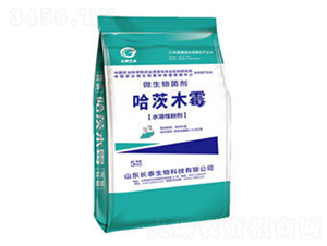 ΢�������-����ľù-�L̩����