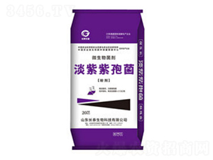 �������۾��ۄ�-�L(zh��ng)̩����