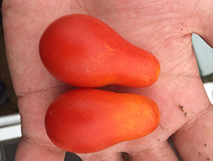 �t����-���ѷN��-�|���N�I(y��)