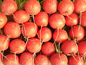 �t��ʹ-�}���N��-�|���N�I(y��)