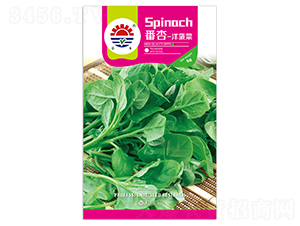 �|������-�ز˷N��-�|���N�I(y��)