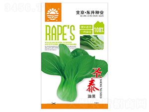 �|��ʥ̩�Ͳ�-�Ͳ˷N��-�|���N�I(y��)