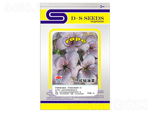 �|���t�@�Ͳ�-�Ͳ˷N��-�|���N�I(y��)