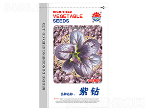 �|�����@�Ͳ�-�Ͳ˷N��-�|���N�I(y��)