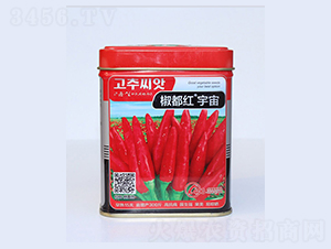 �����t����-�����N��-�����N�I(y��)