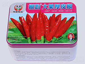 ���δ����Ƥ��-�����N��-�����N�I(y��)