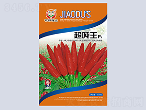 ������-�����N��-�����N�I(y��)