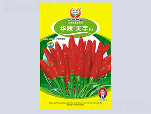 �A������-�����N��-�����N�I(y��)