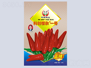 ���sһ̖-�����N��-�����N�I(y��)