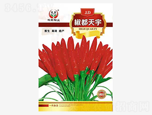 ��������һ���s��-�����N��-�����N�I(y��)