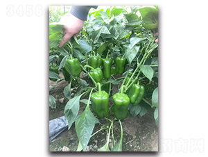 ���_F1-�����N��-Ψ�r(n��ng)�N�I(y��)