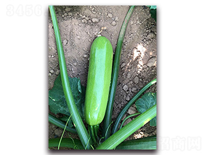 ��һ̖F1-�����J�N��-Ψ�r(n��ng)�N�I(y��)