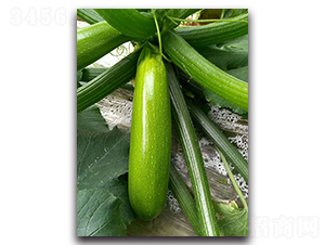 �¾G��F1-�����J�N��-Ψ�r(n��ng)�N�I(y��)